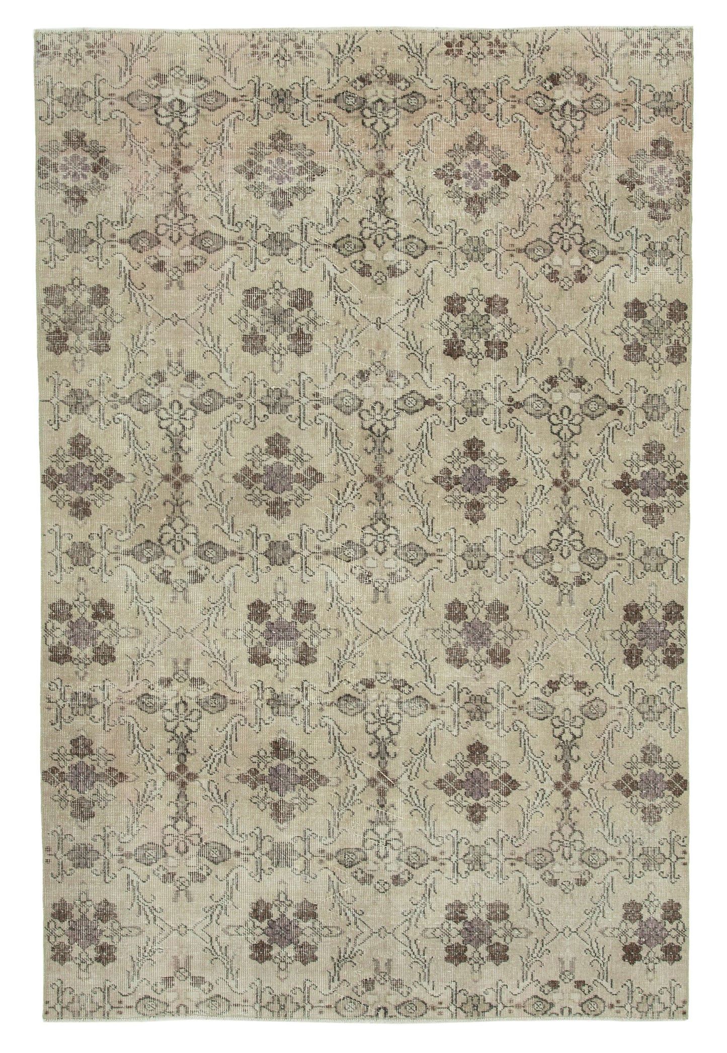 6x8 Beige Bohemian Rug - 21788