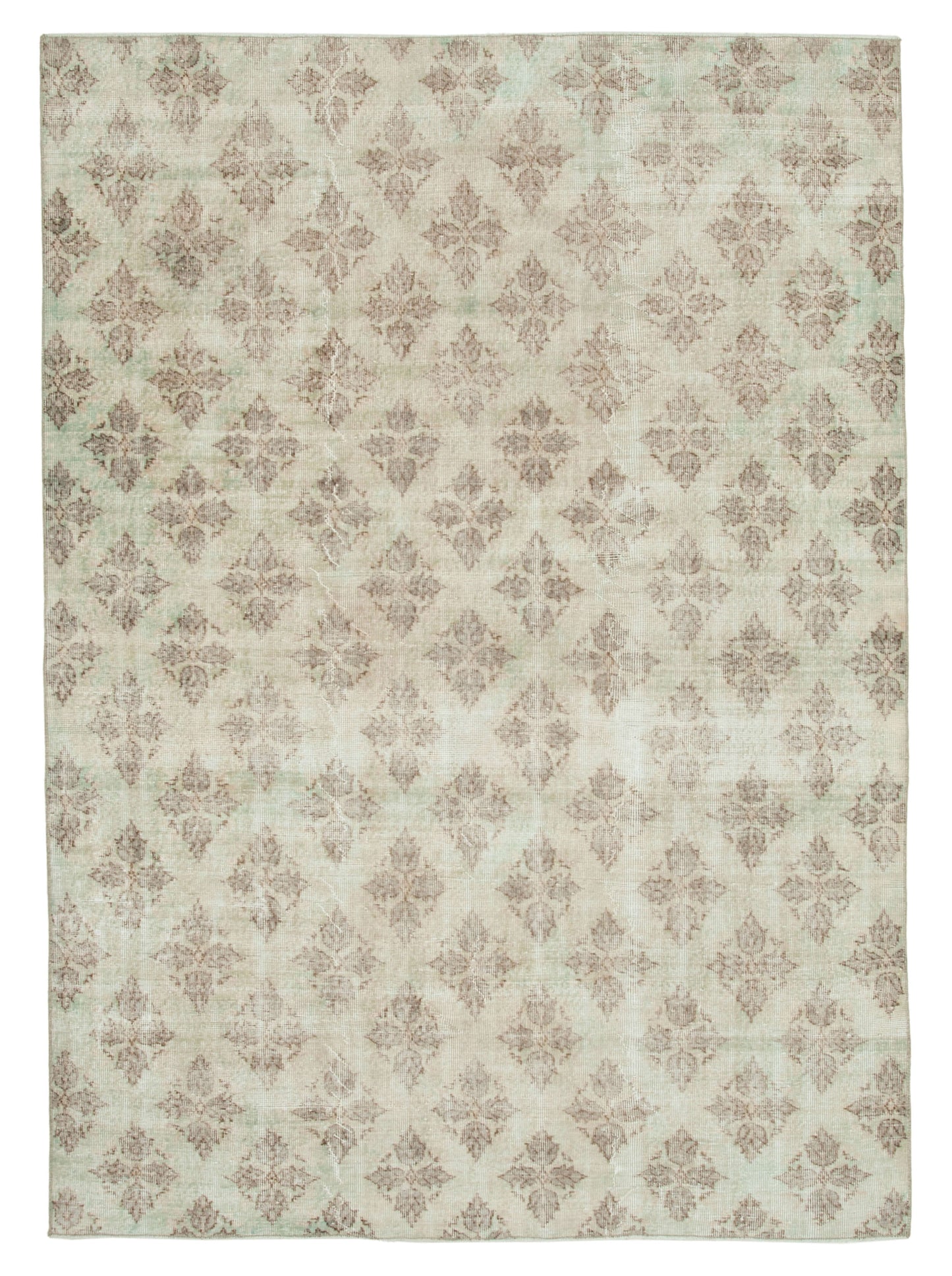 6x9 Beige Bohemian Rug - 31309
