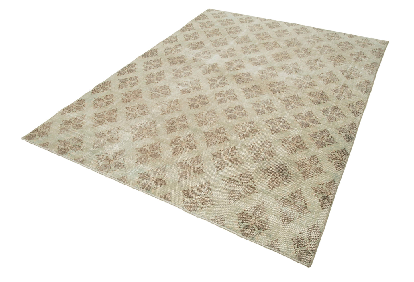 6x9 Beige Bohemian Rug - 31309