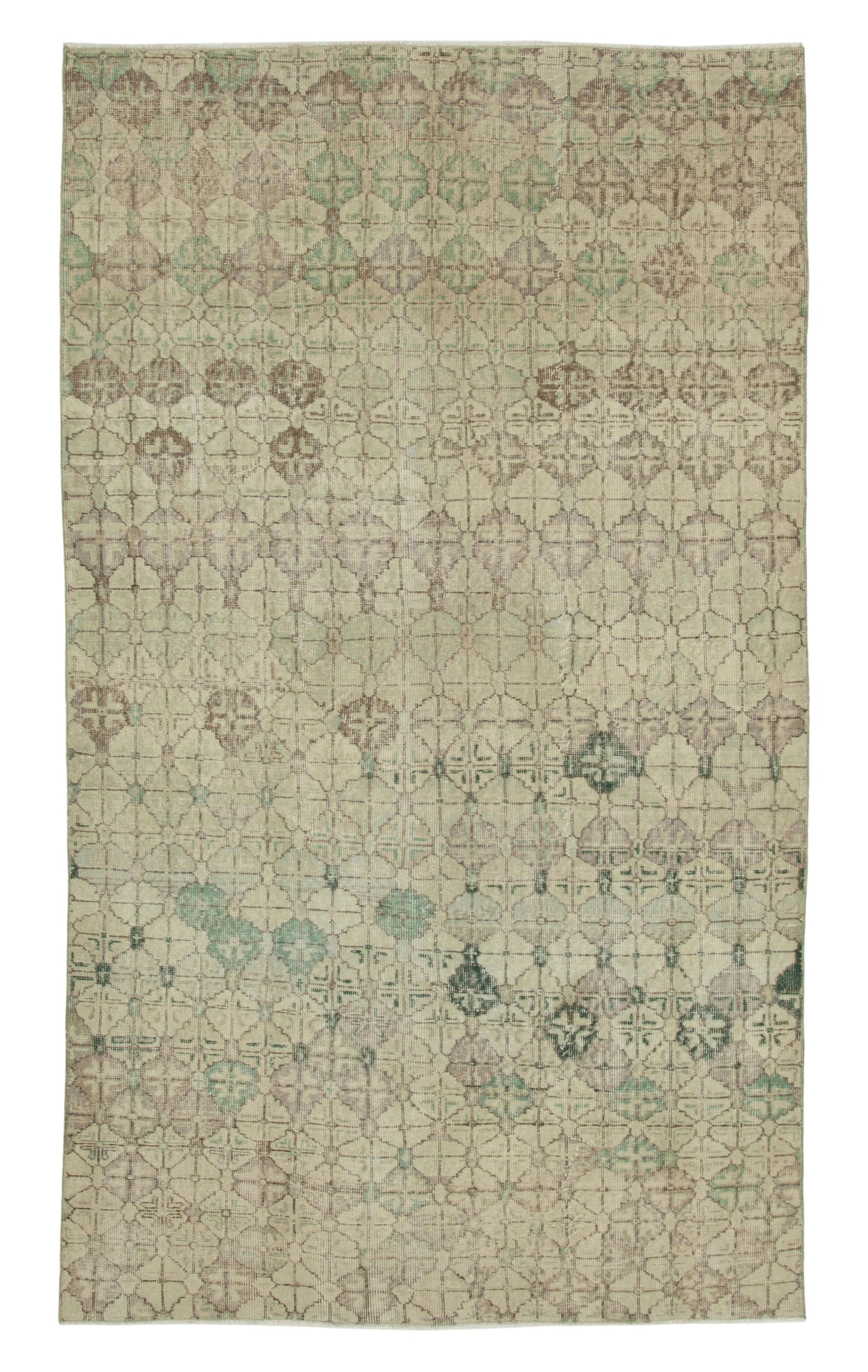 5x9 Beige Bohemian Rug - 33115