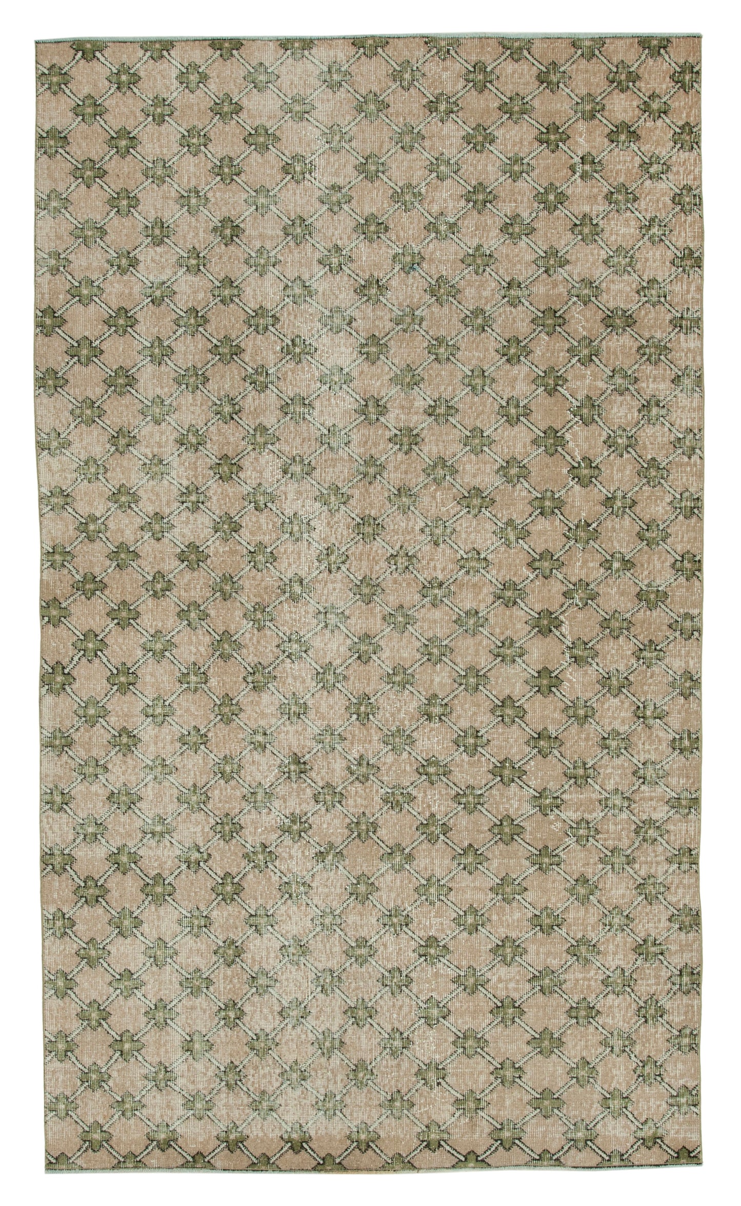 5x9 Beige Bohemian Rug - 33150
