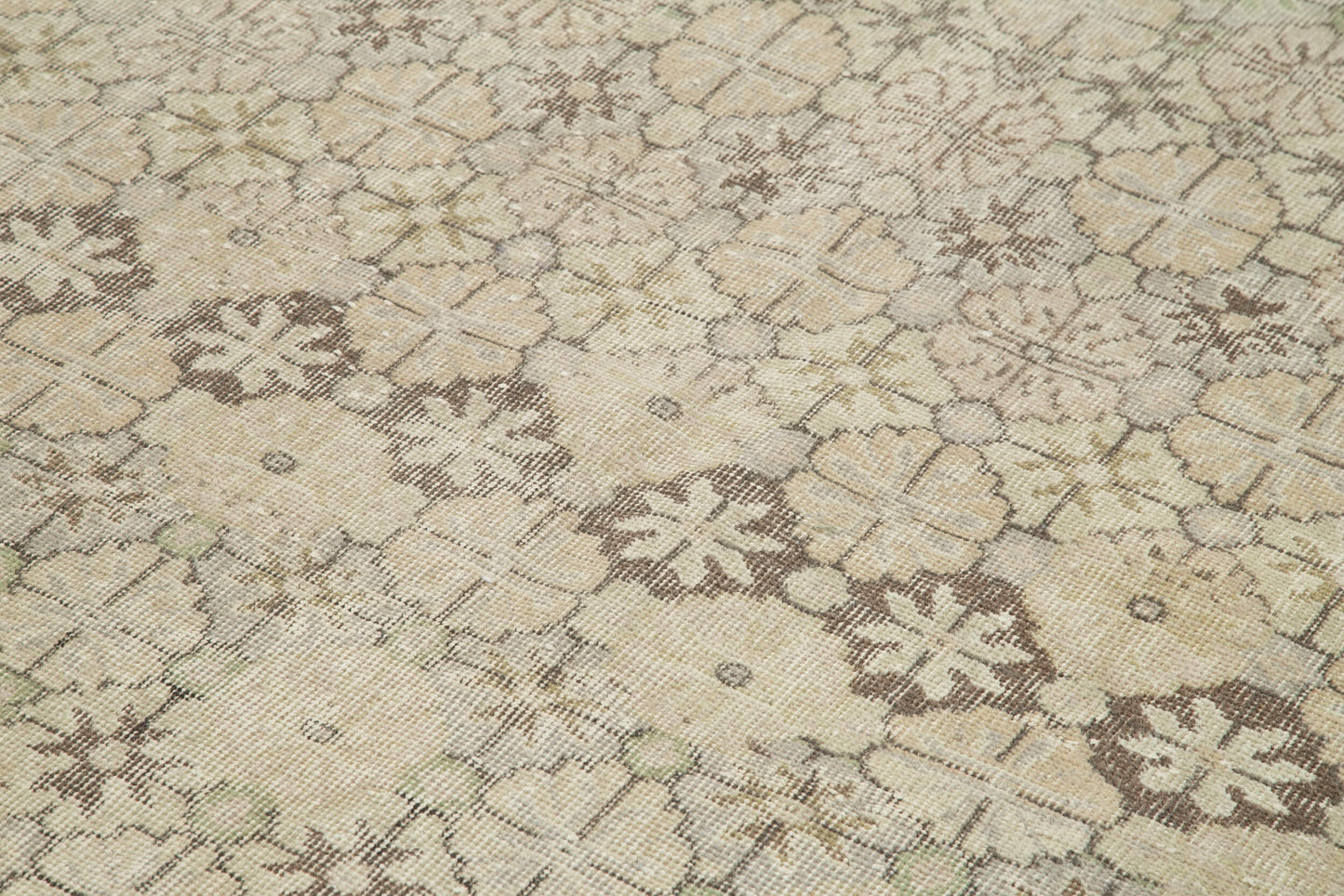 5x9 Beige Bohemian Rug - 33166