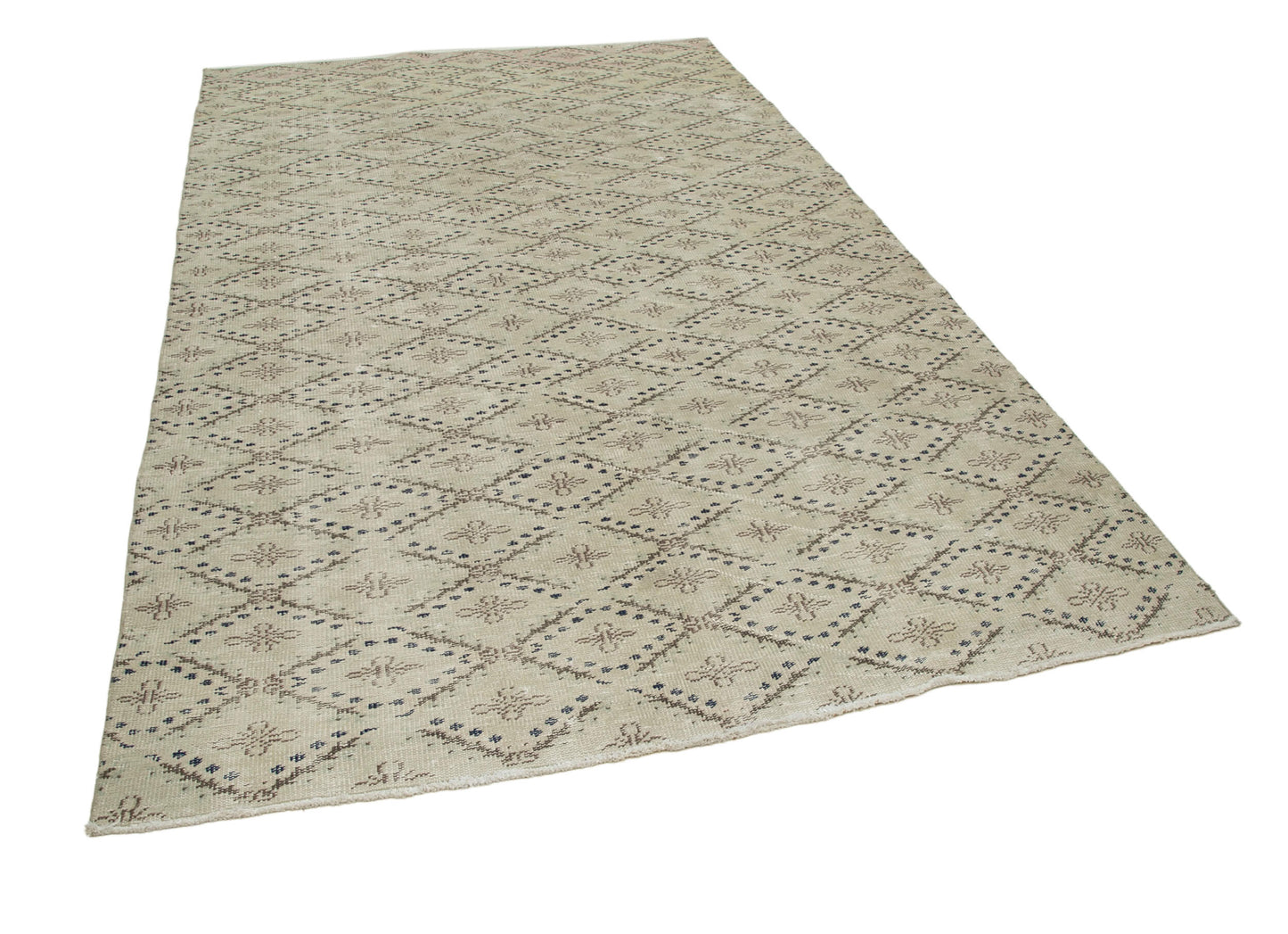 6x10 Beige Bohemian Rug - 33224