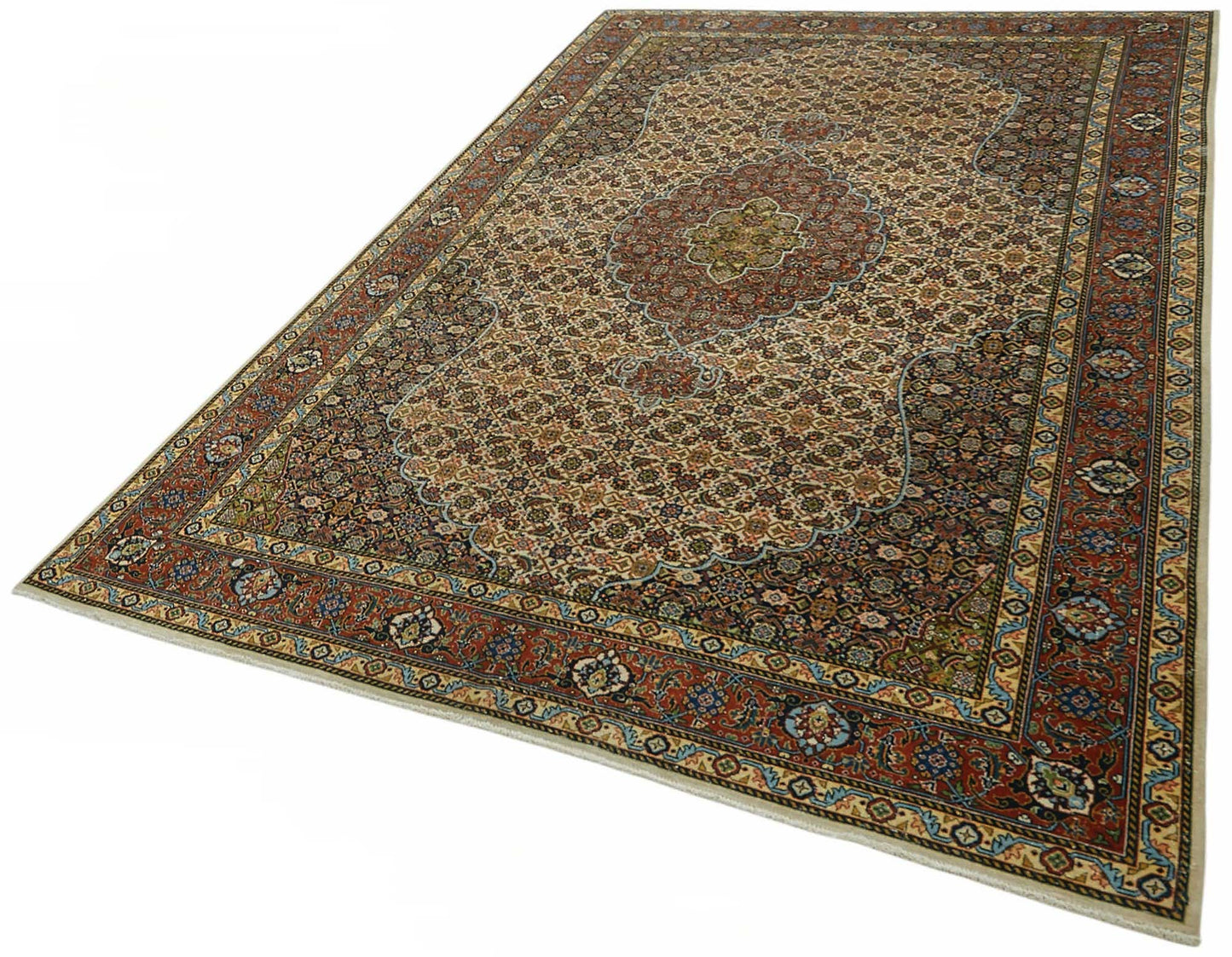 6x10 Beige Vintage Large Area Rug - 49240