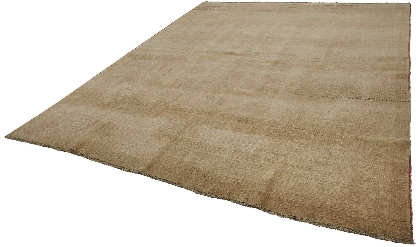 10x12 Beige Vintage Large Area Rug - 50163