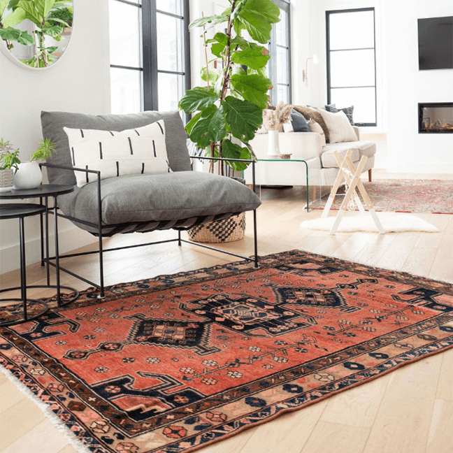 Geometric 4x7 rug in a bright living room with a gray sofa and indoor plants