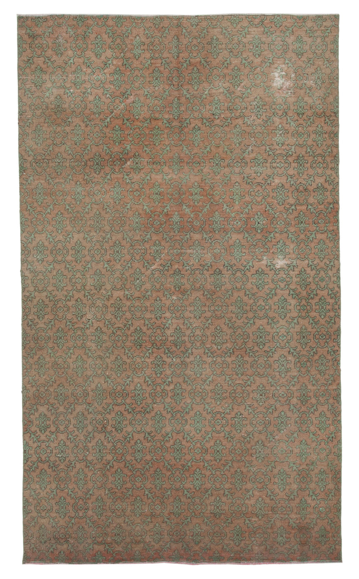 6x10 Beige Bohemian Rug  - 21797