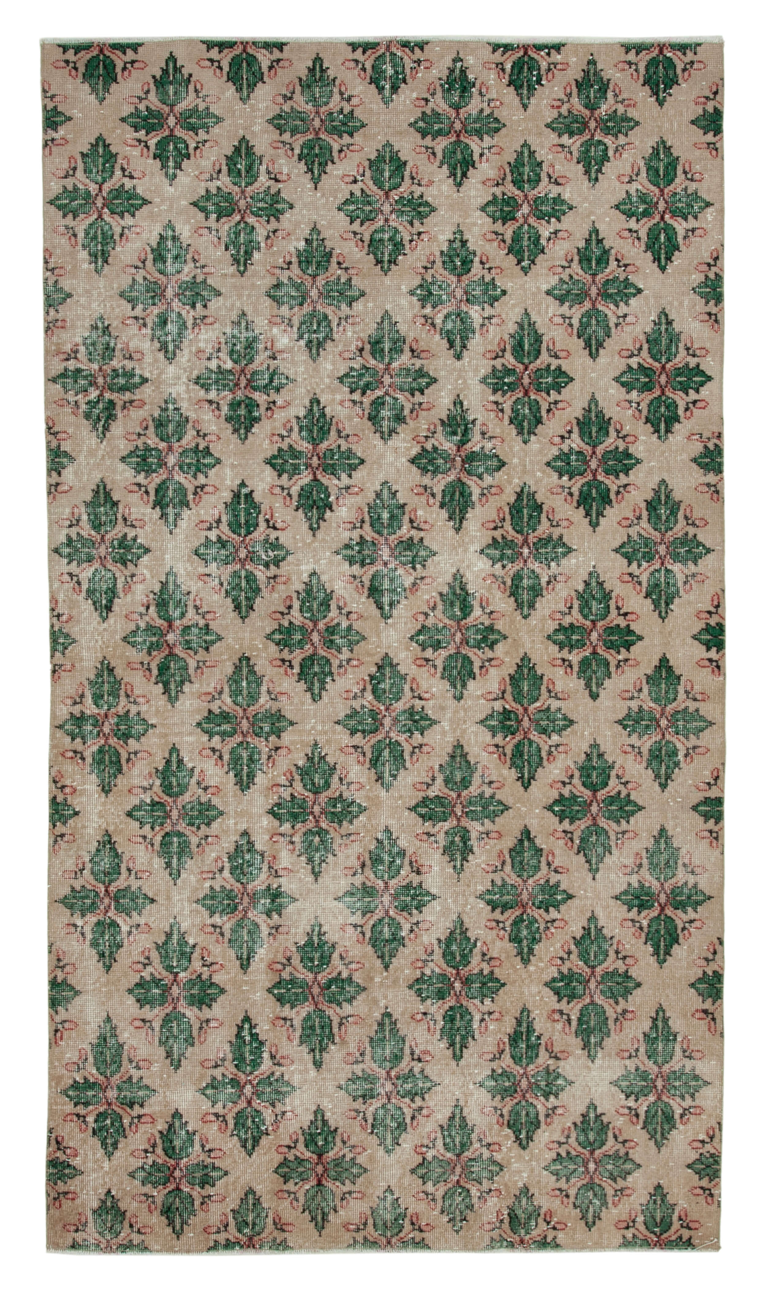 5x8 Beige Bohemian Rug  - 29962