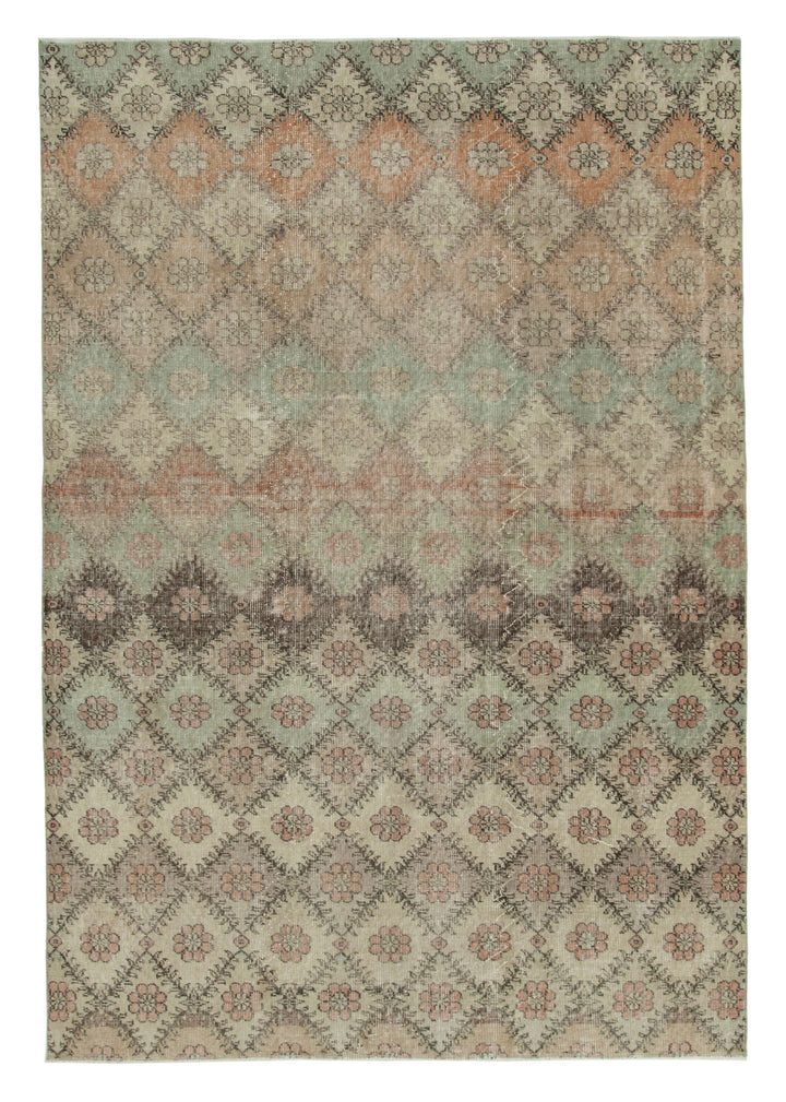 6x9 Multicolor Bohemian Rug  - 33073