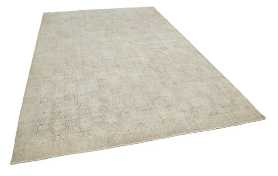 7x10 Beige Bohemian Rug  - 33132