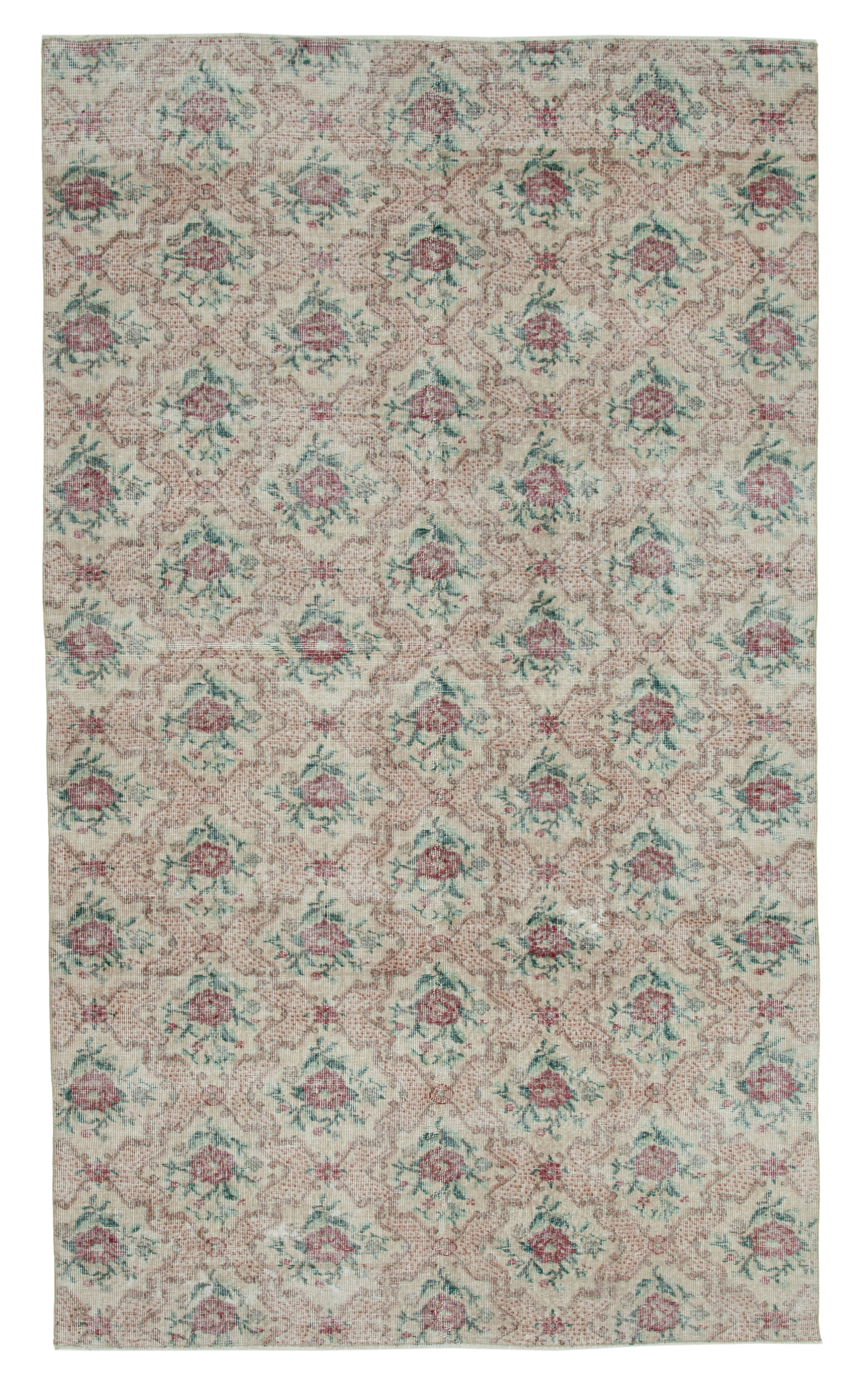 6x10 Beige Bohemian Rug  - 33261