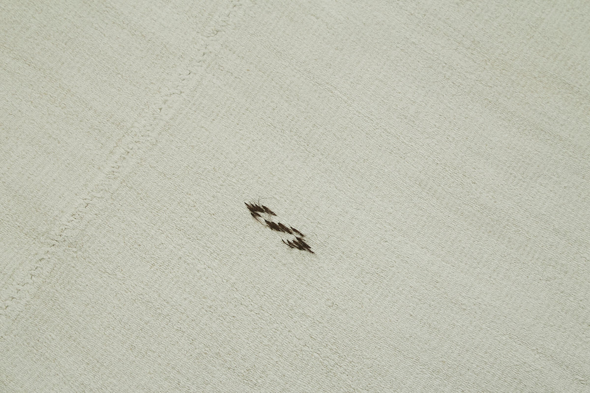 6x12 White Hemp Kilim Rug - 41967