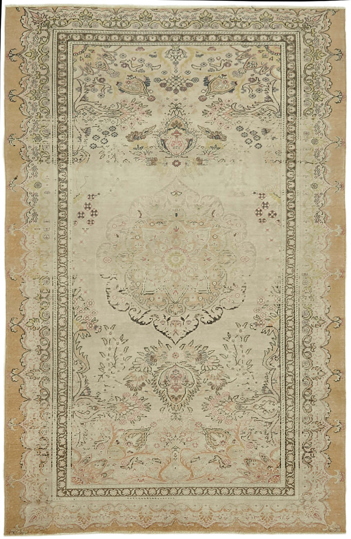 4x7 Beige Anatolian Rug - 43649