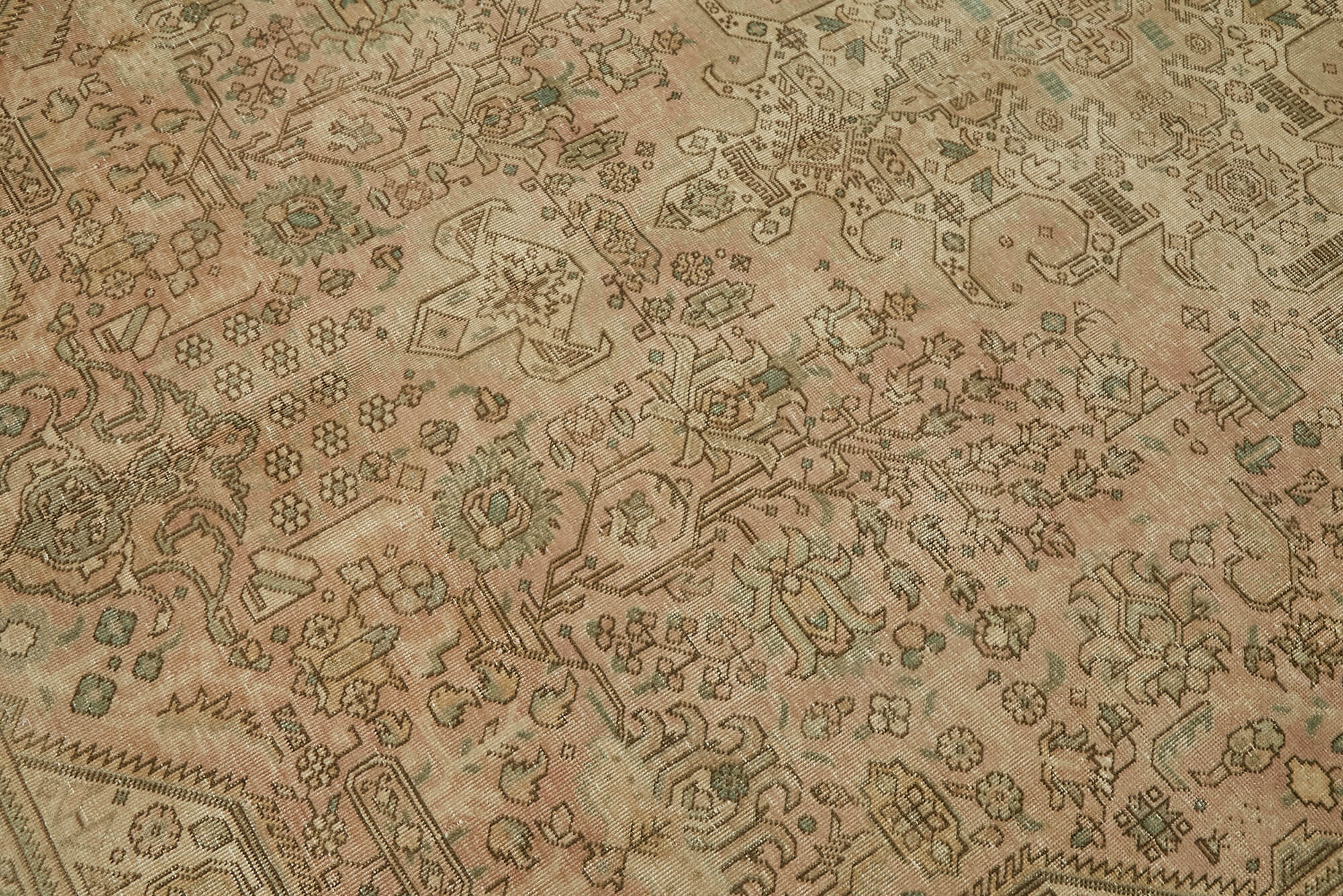 6x9 Beige Vintage Large Area Rug - 44148