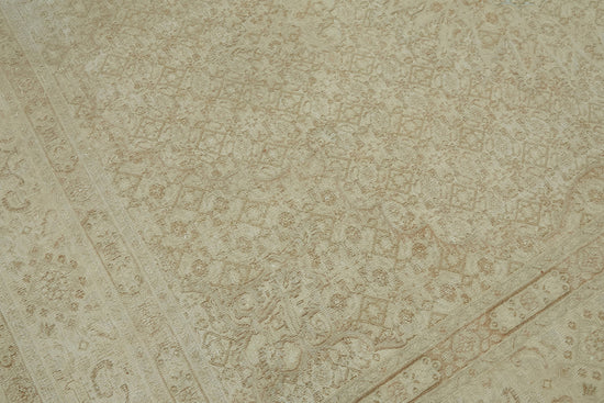 7x9 Beige Vintage Large Area Rug - 44426