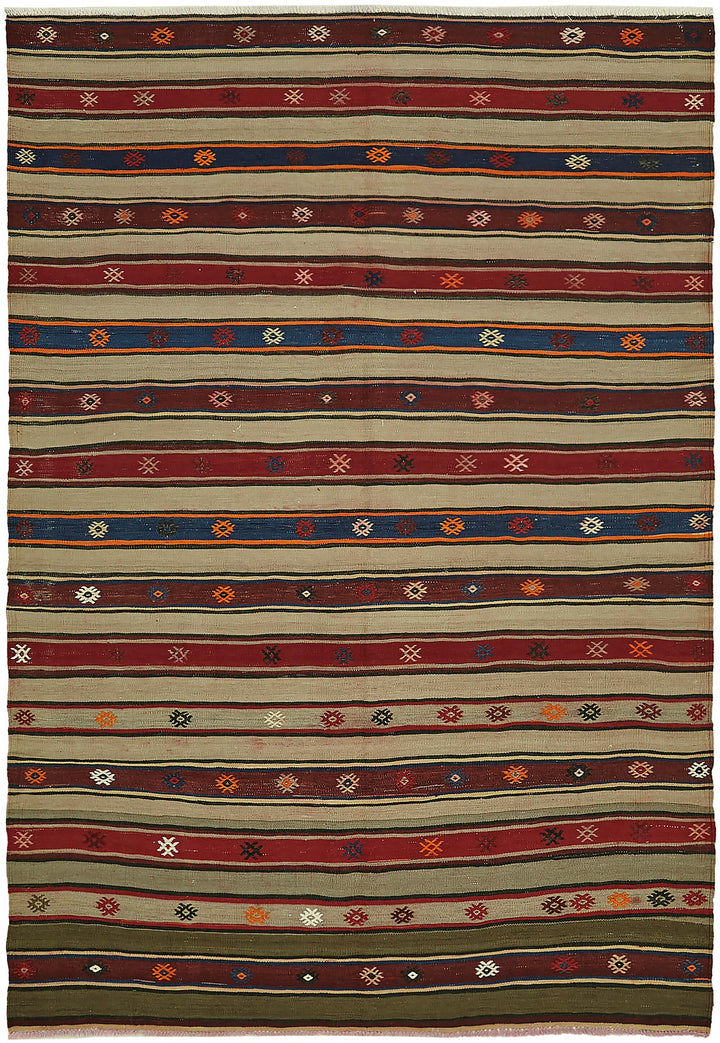 5x7 Multicolor Oriental Kilim Rug - 45932