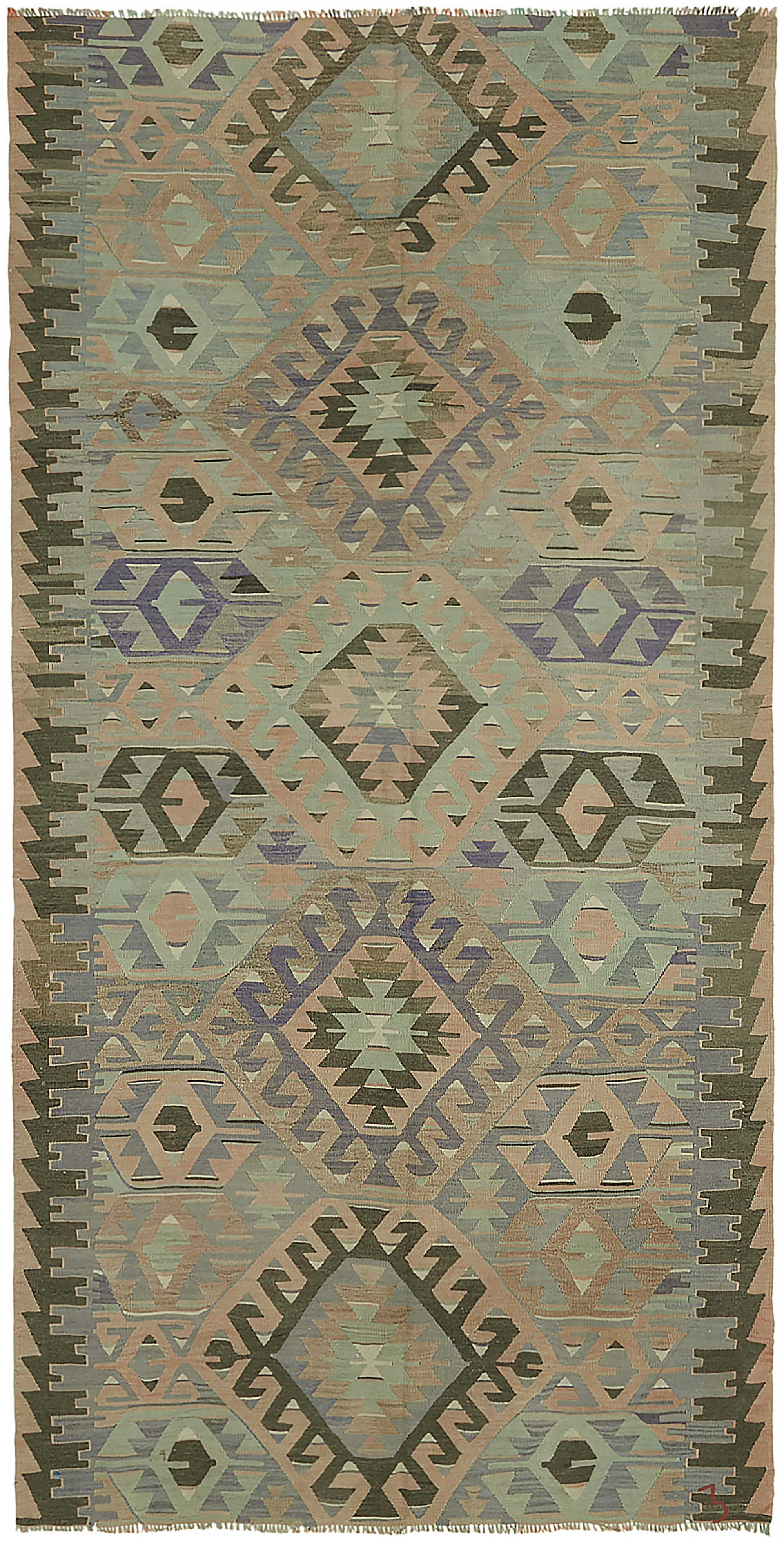 5x11 Multicolor Oriental Kilim Rug - 46023