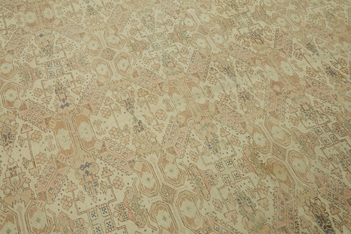 10x14 Beige Vintage Large Area Rug - 46396