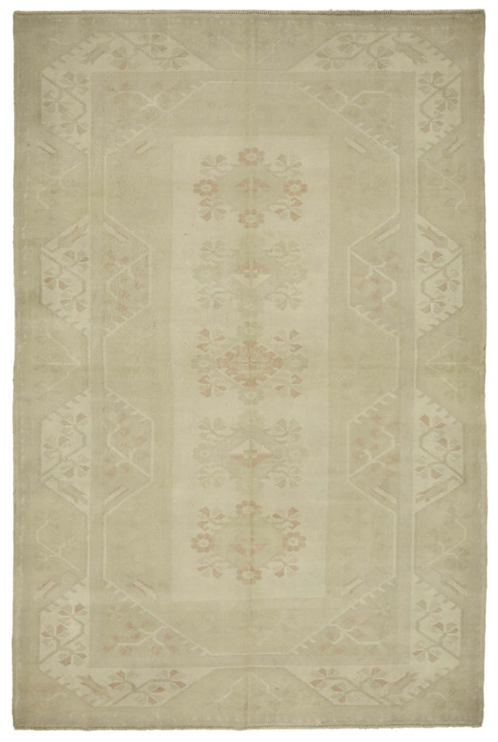 7x10 Anatolian Oriental Rug - 46862