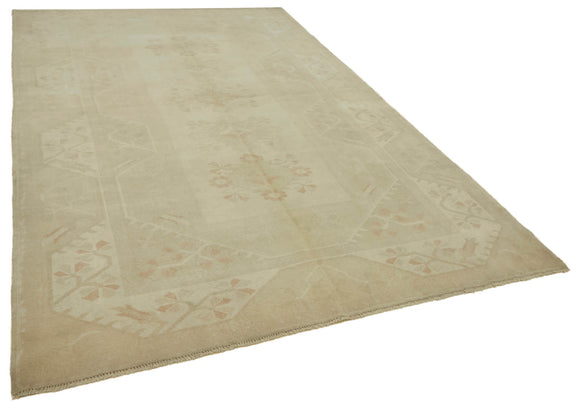 7x10 Anatolian Oriental Rug - 46862