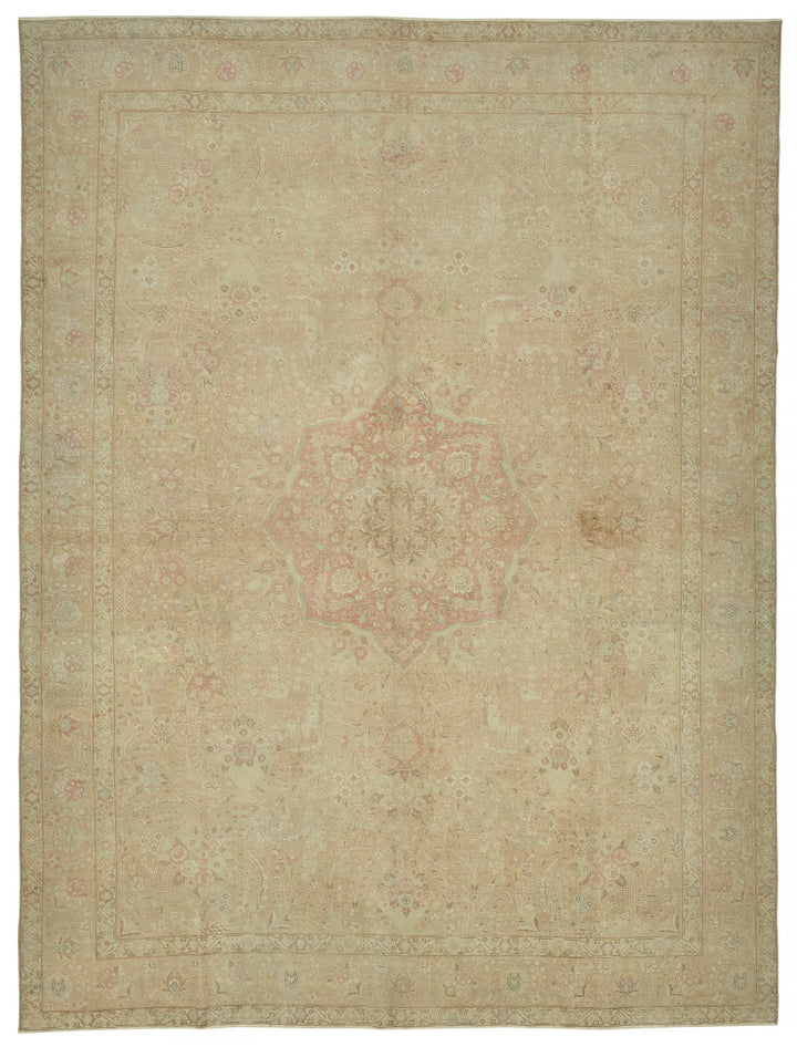 10x13 Beige Vintage Area Rug - 47167