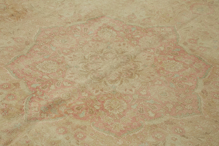 10x13 Beige Vintage Area Rug - 47167