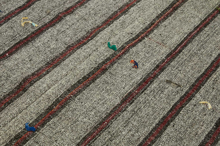 6x10 Authentic Turkish Goat Hair Kilim - 47253