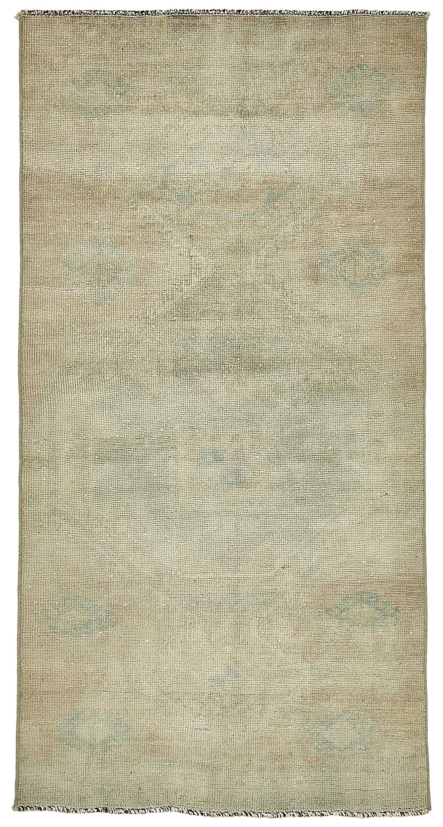 3x5 Beige Small Oriental Rug - 49844