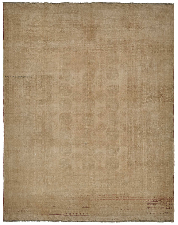 10x12 Beige Vintage Large Area Rug - 50163