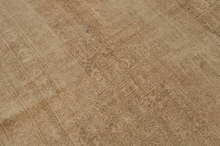10x12 Beige Vintage Large Area Rug - 50163