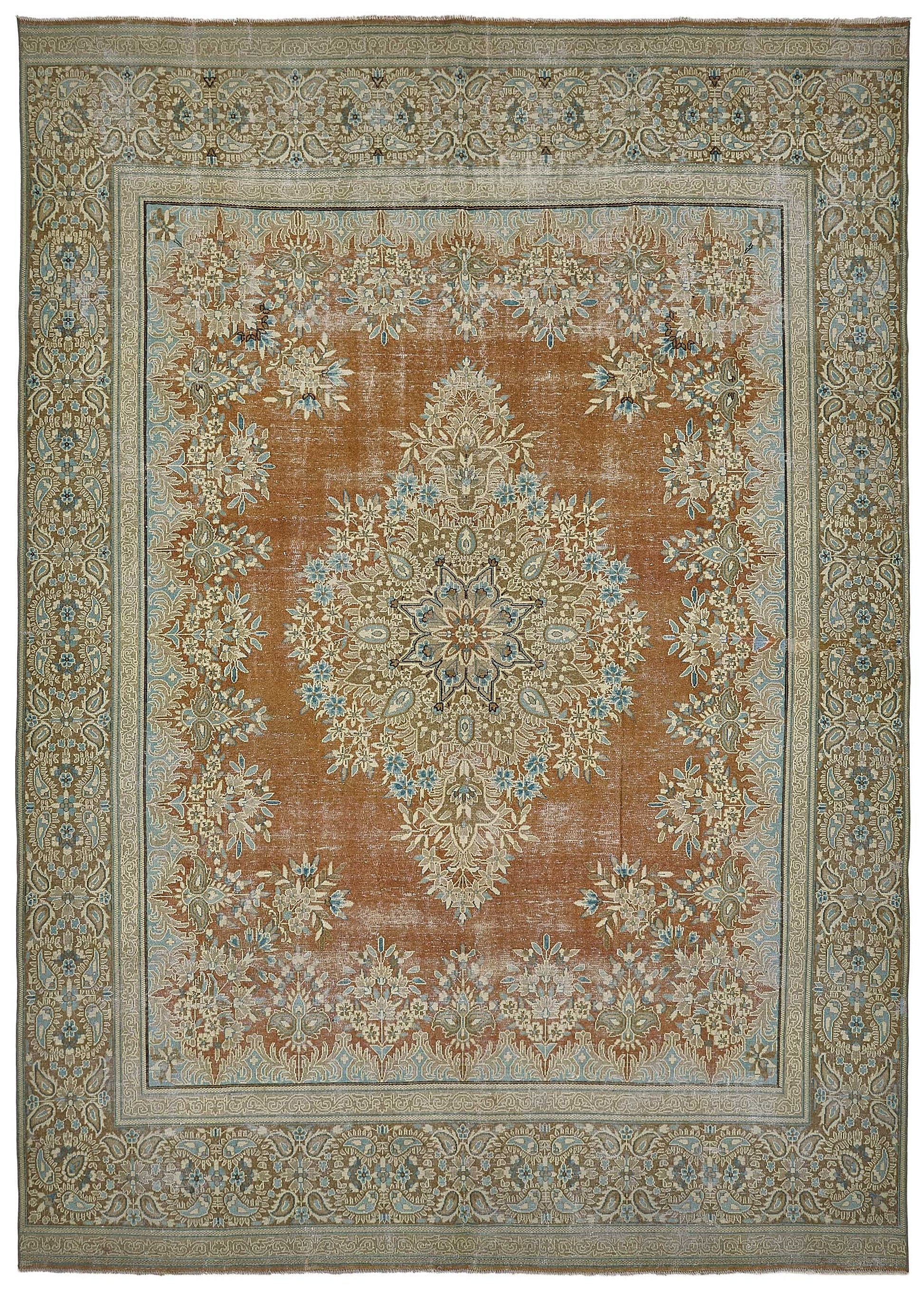 9x12 Beige Vintage Large Area Rug - 50201