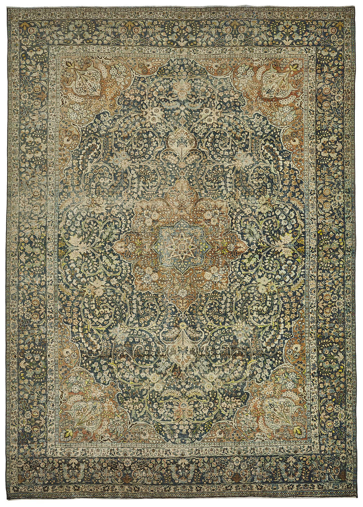 10x13 Beige Vintage Large Area Rug - 50205